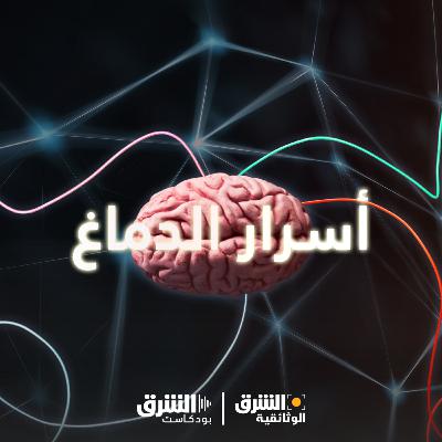 أسرار الدماغ | عقل متجدد أسرار الدماغ | عقل متجدد