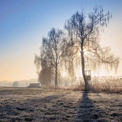 Episode 91: Februar-Meditation, in der Ruhe liegt die Kraft Episode 91: Februar-Meditation, in der Ruhe liegt die Kraft
