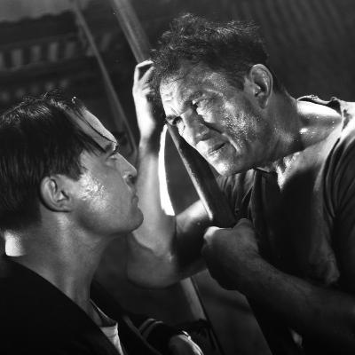 Cinema em tempo de pandemia Cinema em tempo de pandemia