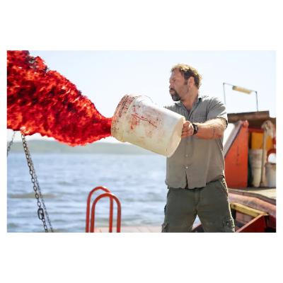 dangerous animals - st. ides is for the children dangerous animals - st. ides is for the children