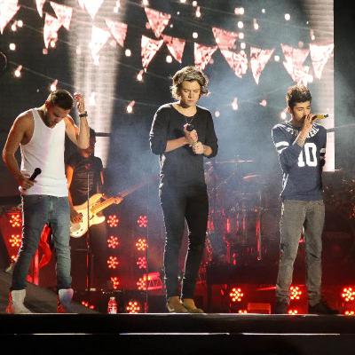 Which directions did the One Direction members go in since the (ahem, indefinite) hiatus?