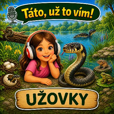 Užovky Užovky