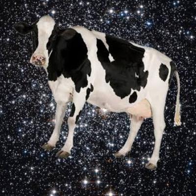 EP 1-Queiroz, pênis do defunto e Vaca espacial.