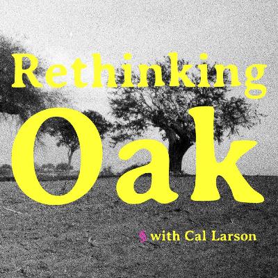 Rethinking Oak