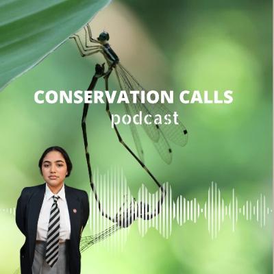 Defending the double-banded damselfly