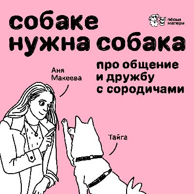 Собаке нужна собака. Про общение и дружбу с сородичами
