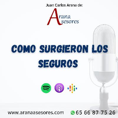 Como surgieron los seguros