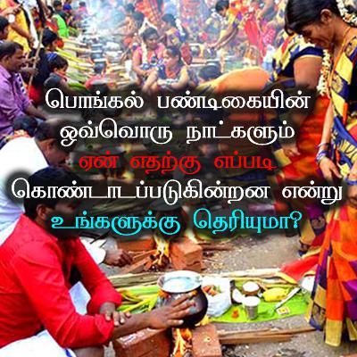 பொங்கல் பண்டிகையின் ஒவ்வொரு நாட்களும் ஏன் எதற்கு எப்படி கொண்டாடப்படுகின்றன என்று உங்களுக்கு தெரியுமா?