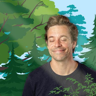 Wald | So viel mehr als Bäume Wald | So viel mehr als Bäume