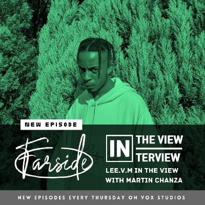 Farside : Lee.v.m InTheView