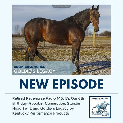 IT'S OUR 6TH BIRTHDAY! A Jobber Connection, Standie Head Twirl, Goldie's Legacy by Kentucky Performance Products