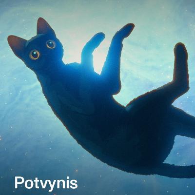 Oskarą parsiplaukdinęs - „Potvynis" Oskarą parsiplaukdinęs - „Potvynis"