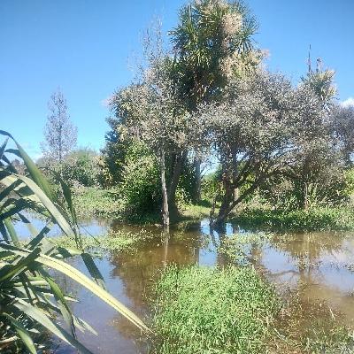 TA day29 無事ビザおりましたー！これからも旅は続きます。