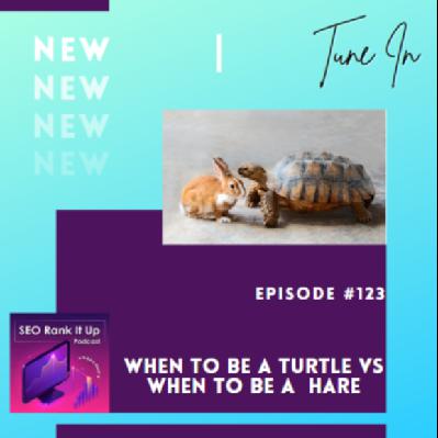 SEO Rank It Up Podcast #123 ”When to be a Turtle vs. When to be a Hare with SEO”