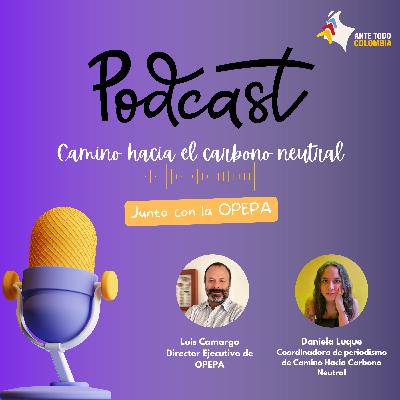 Camino hacia el carbono neutral