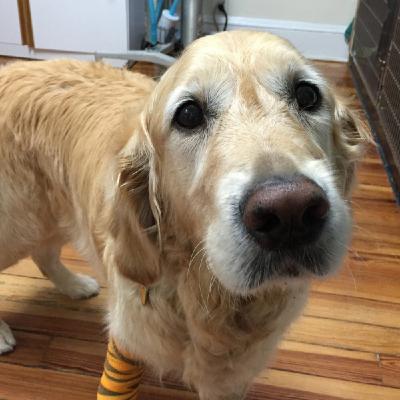 008 - Audrey et Figo