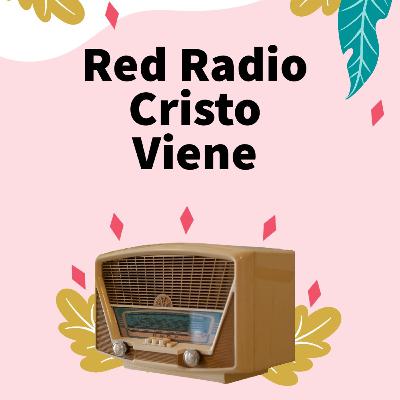 ¡Qué Grave Es La Ignorancia!