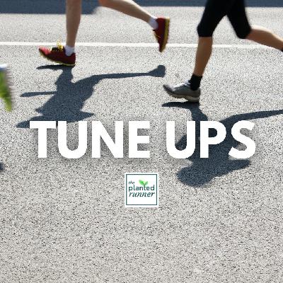 Here's How to Make the Most Out Of Your Tune Up Race