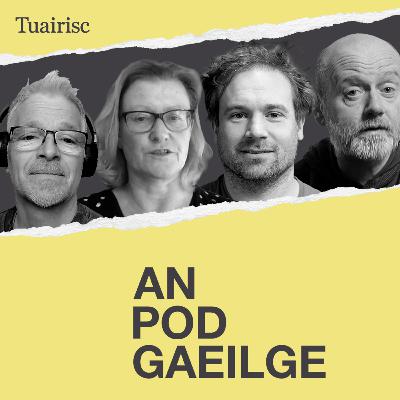 Fliuch báite ag déanamh na hArdteiste, geáitsí Geert Wilders agus ciste fhógraí RnaG