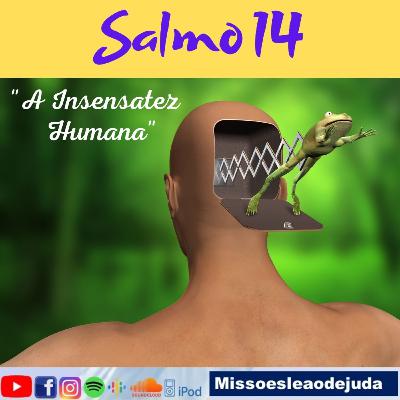 Salmo 14 - A Insensatez Humana
