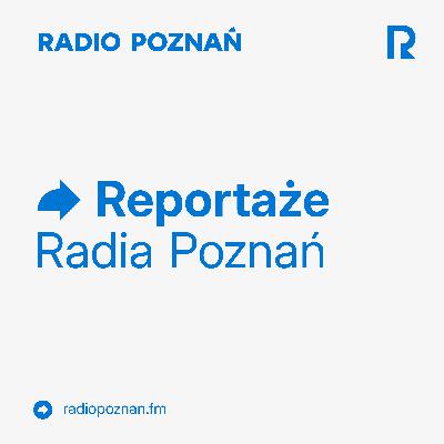 Zawód na czasie