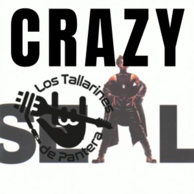 Crazy - Seal