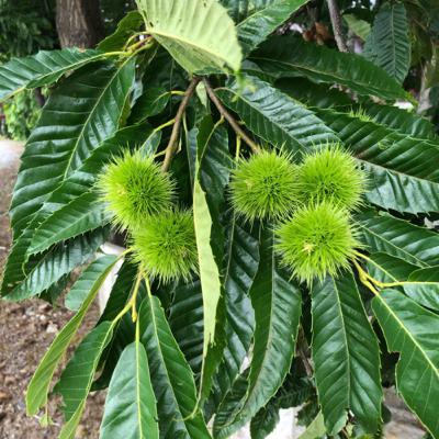 good morning pool 220822