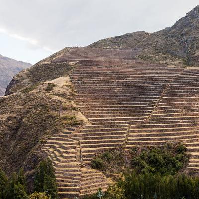 El control vertical de pisos ecológicos