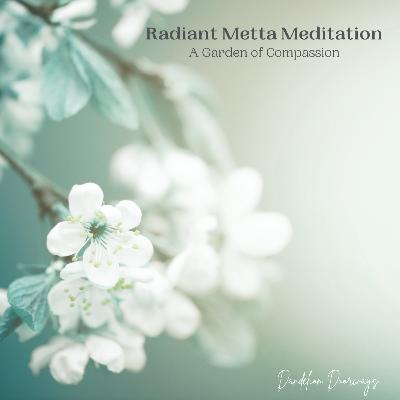 Radiant Metta Meditation: A Garden of Compassion Radiant Metta Meditation: A Garden of Compassion