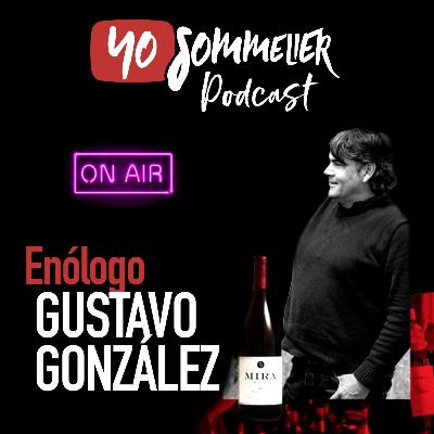 Entrevista con el Enólogo Gustavo González