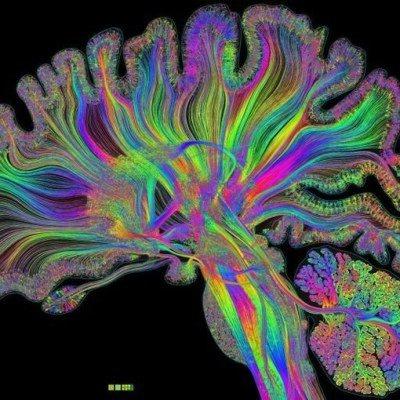 #09_L'attention : ce mystérieux temps de cerveau disponible #09_L'attention : ce mystérieux temps de cerveau disponible