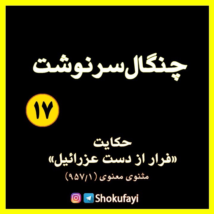 چنگال سرنوشت