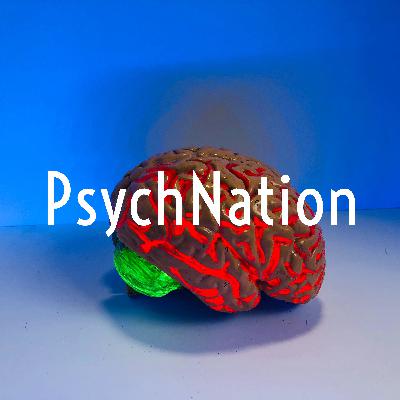 Episode 4 - Context affecting perception, Motivation affecting perception and Emotion affecting perception