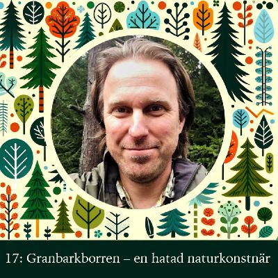 Granbarkborren - en hatad naturkonstnär