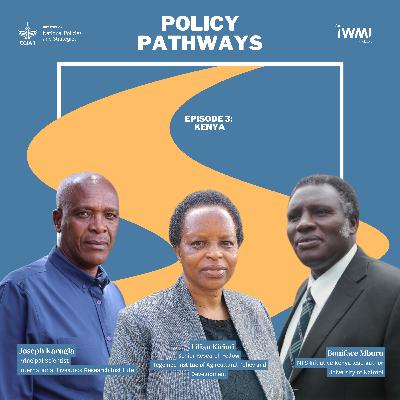 Kenya's Policy Pathways