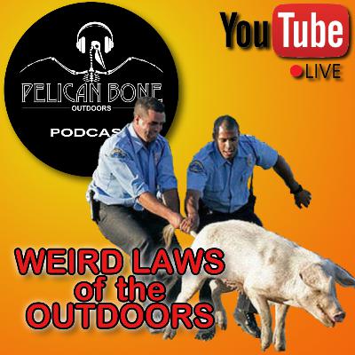 Ep. 20 | Weird Laws of the Outdoors