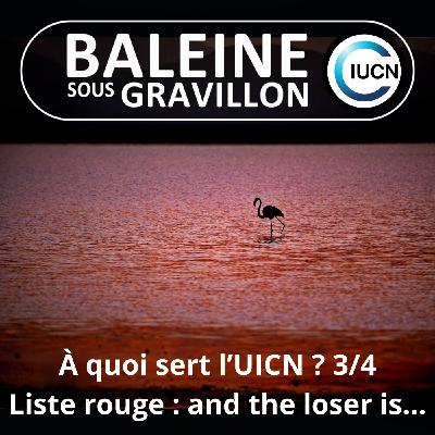 S07E45 C'est quoi l'UICN ? 3/4 : La liste rouge à la loupe, "and the loser is..." (Maud Lelièvre)
