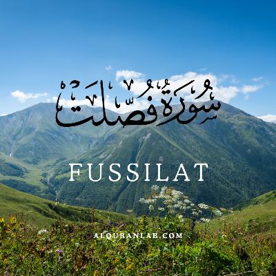 Surah Fussilat Beautiful Soothing Recitation of the Quran with Tajweed https://www.alquranlab.com/