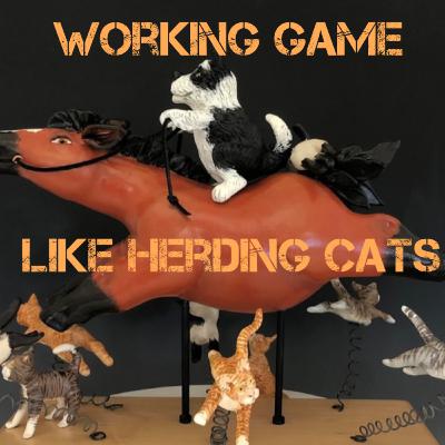 Like Herding Cats Like Herding Cats