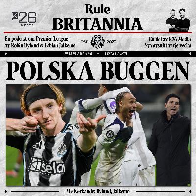 #310 Polska buggen