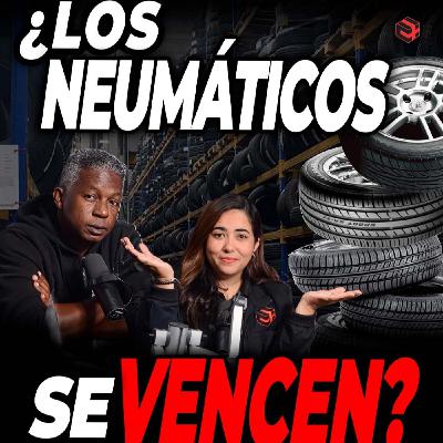 ¿Los NEUMÁTICOS Tienen realmente fecha de VENCIMIENTO?