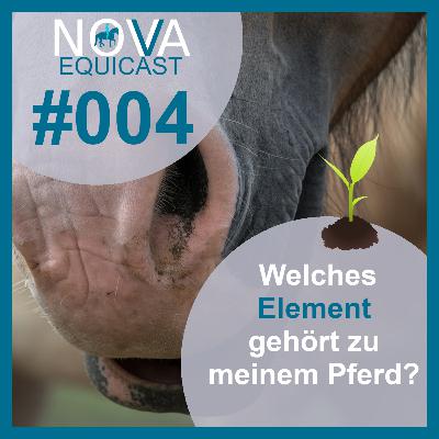 004 Welches Element gehört zu meinem Pferd?