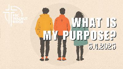What is My Purpose?