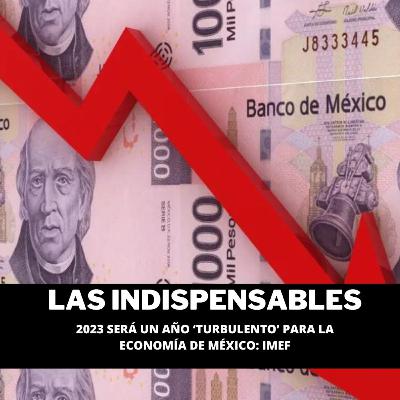 2023 será un año ‘turbulento’ para la economía de México: IMEF