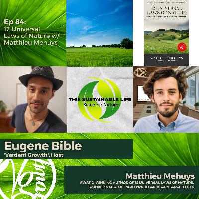 12 Universal Laws of Nature w/ Matthieu Mehuys