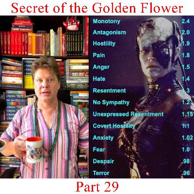 The Secret of the Golden Flower - Part 29