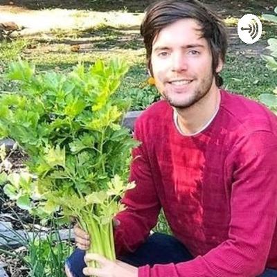 Alimentación Plant based, ¿Más cara?