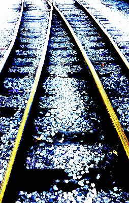 Collective West TRASHES international rules based order