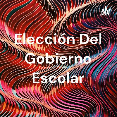 Elección de representantes