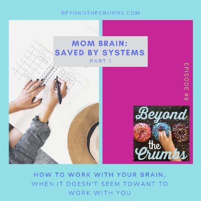 9. Mom Brain: Saved by systems, part 1 9. Mom Brain: Saved by systems, part 1